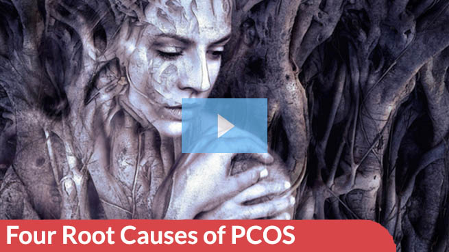 Four Root Causes of PCOS