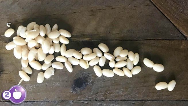 Beans For Better Digestive Health