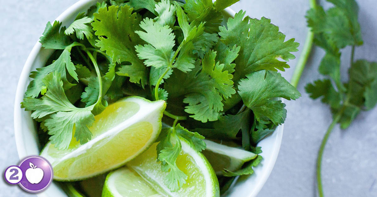 Bright and Fresh, Cilantro is a Perfect Choice 
